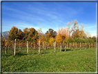 foto Alle pendici del Monte Grappa in Autunno